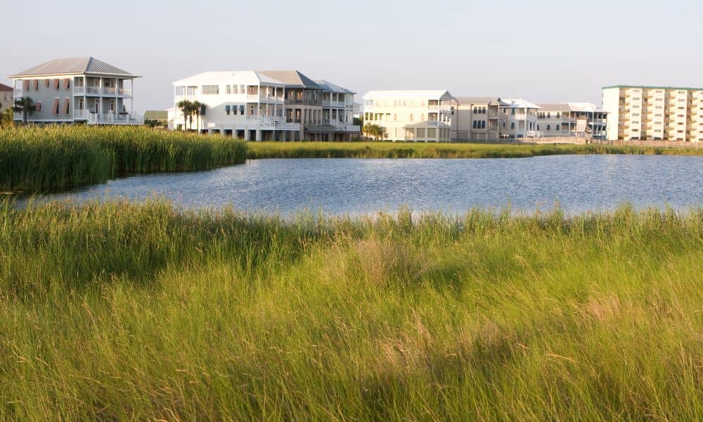 wetland lidar mapping residential development - ALTA SURVEY Florida Wetland area next to residential development, highlighting the importance of LiDAR mapping for accurate wetland delineation in Florida