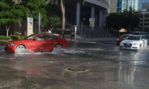 Cars driving through flooded streets in downtown Miami during King Tide, showing the need for an ALTA survey to document property elevations