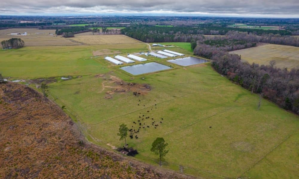 Aerial view of agricultural land and water features evaluated as part of a due diligence survey