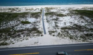 Aerial view of a coastal boardwalk crossing sandy dunes, illustrating the type of site mapped by a topographic survey